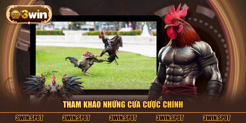 Tham khảo những cửa cược chính